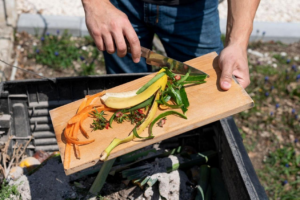 Lire la suite à propos de l’article Composez un compost maison performant pour revitaliser vos plantes