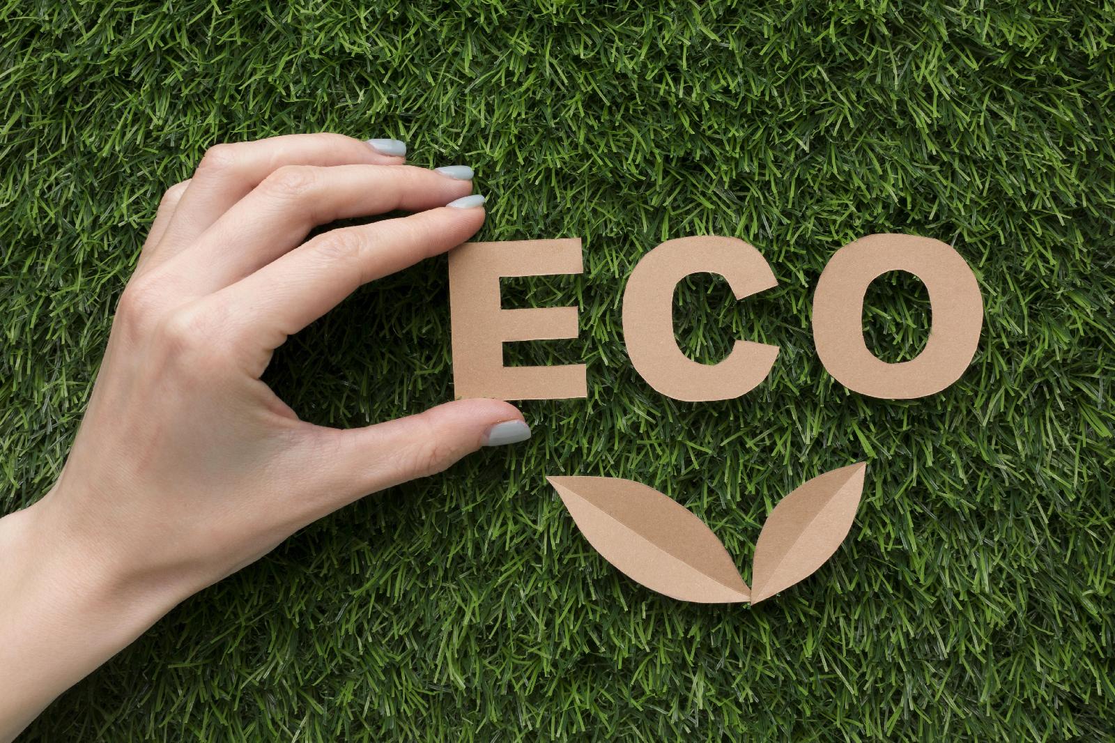 You are currently viewing La pologne, partenaire clé du bio durable en europe